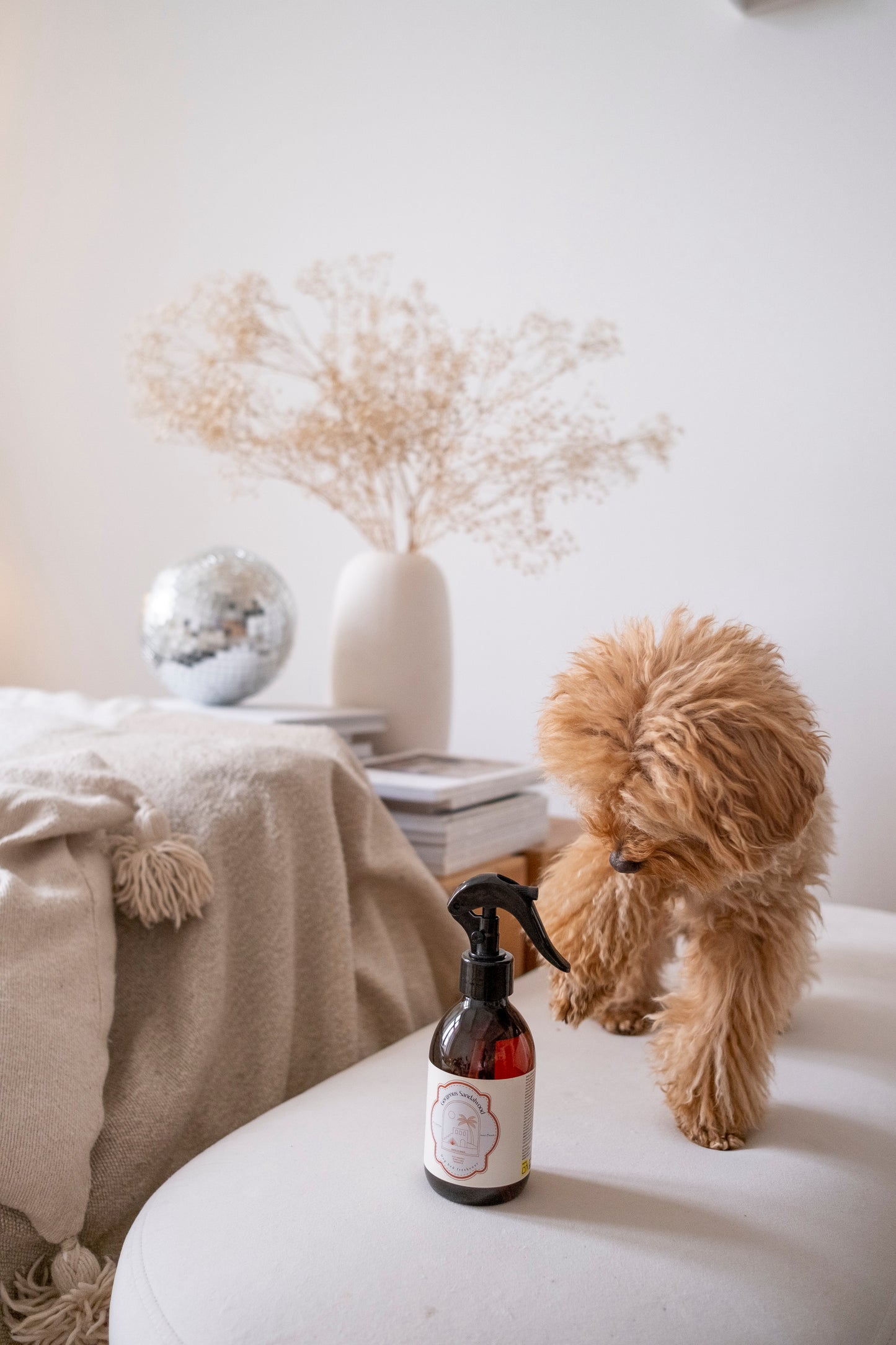 Home & Bed Fragrance x Masco Beauty